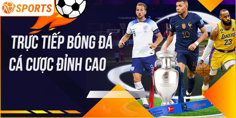 Giao diện hệ thống VSPORT hiện đại